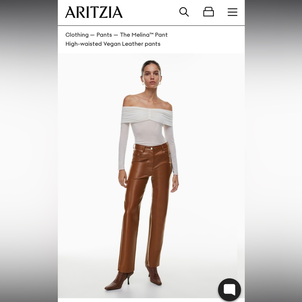 Aritzia Melina Leather Pants